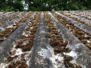corrugated asbestos garage roof needing disposal