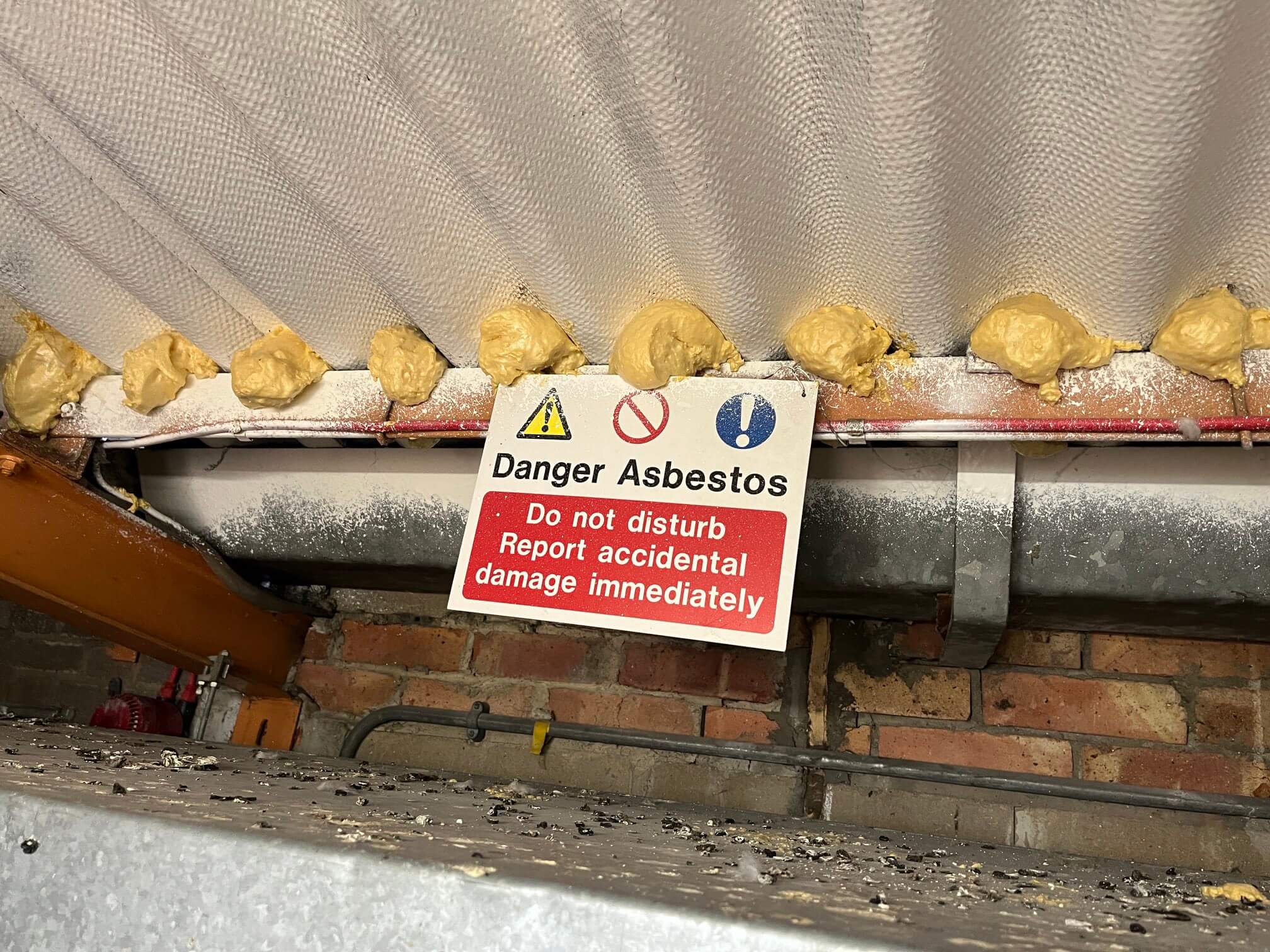 asbestos management policy